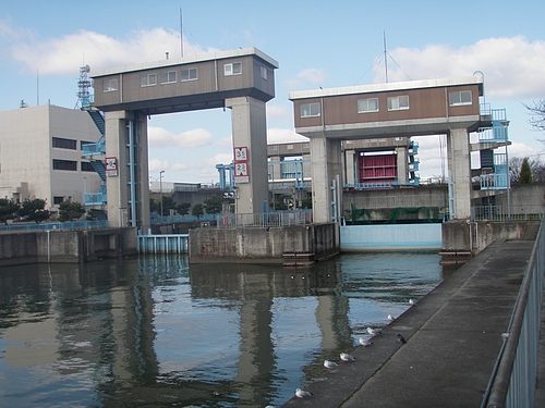 旧淀川(大川)