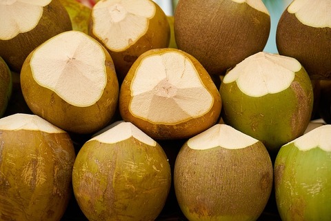 india-coconut-2308864_640