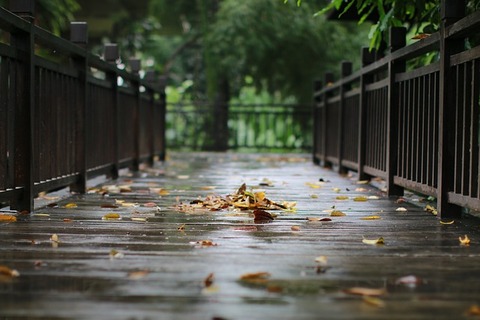 rain-2091249_640