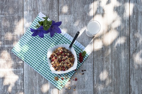 muesli-2509255_640