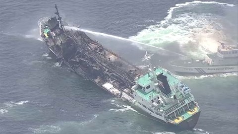 news2212691_6