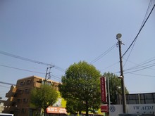 SH380301