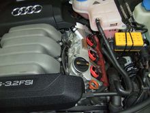 DSCF9319