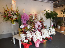 DSCF7873_1