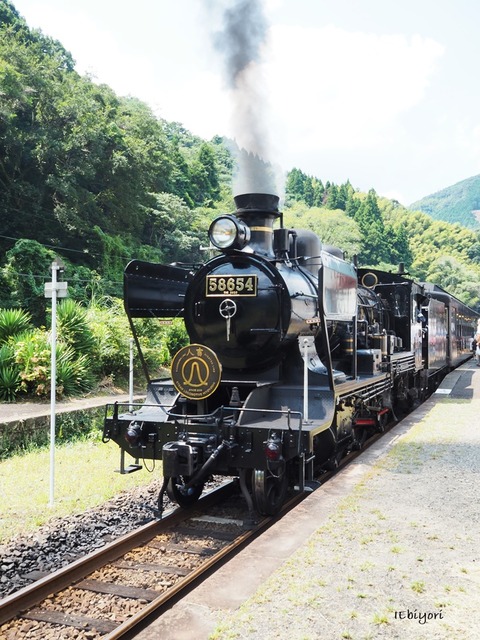 P8273092