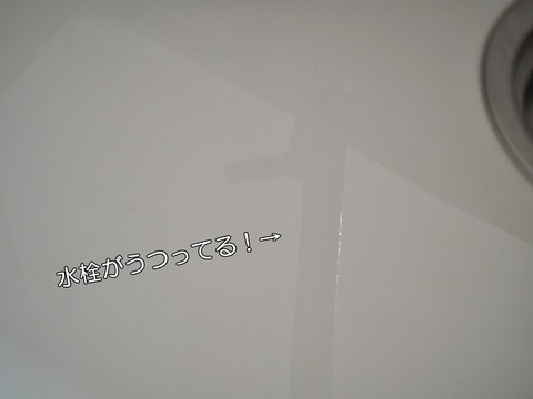 P3143348