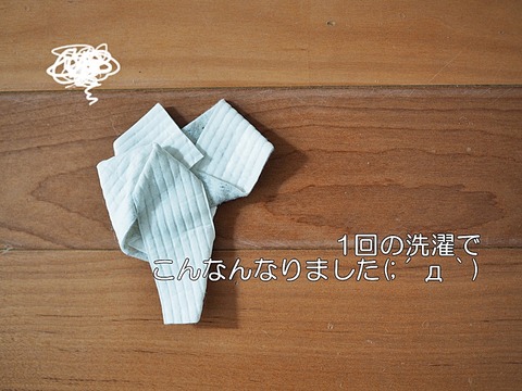P3133289