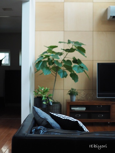 P9060295