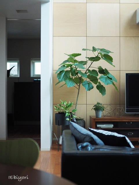 P9060302