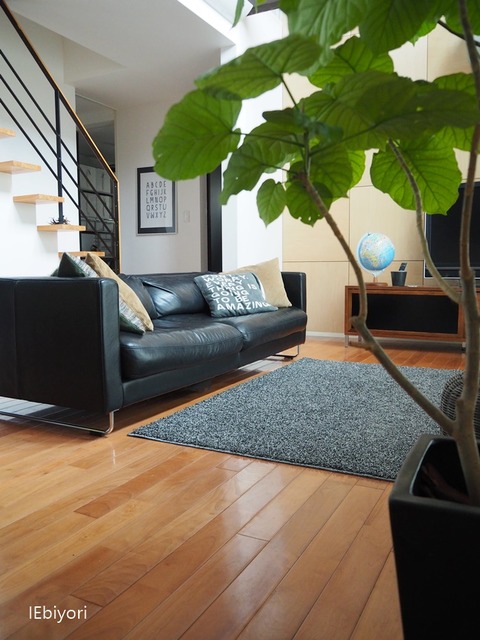 PB086052