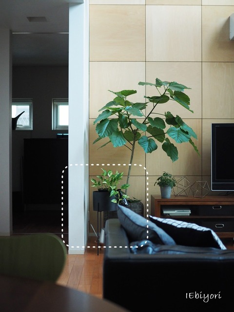 P9060302
