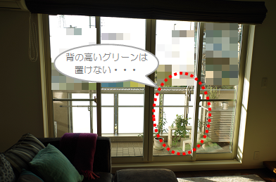 201611_ベランダグリーン_14