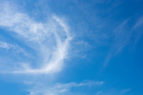 ELFADSC08951_TP_V