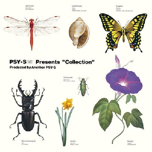 80年代のソニーは面白い人材がいっぱいいた - PSY・S 『Collection