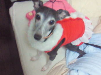 201012250221000