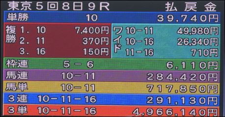 競馬 払戻金