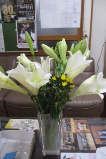 IMG_0074 (2)