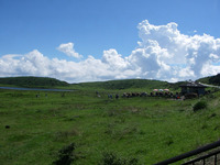 IMGP0126