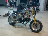 20101226876