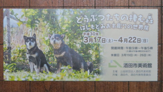はしもとみお