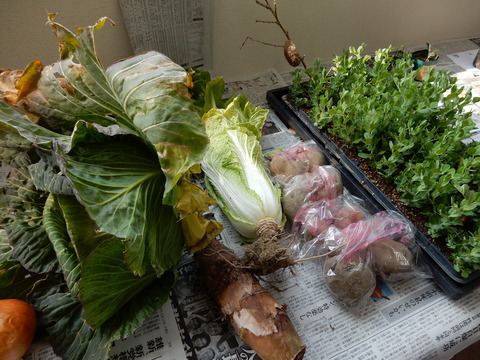 DSCN0288