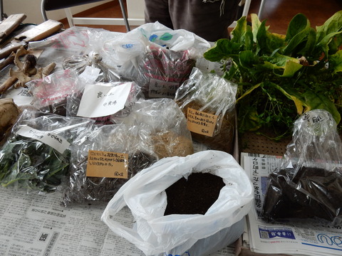 DSCN0278