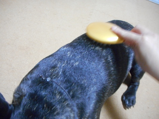DSCN3872