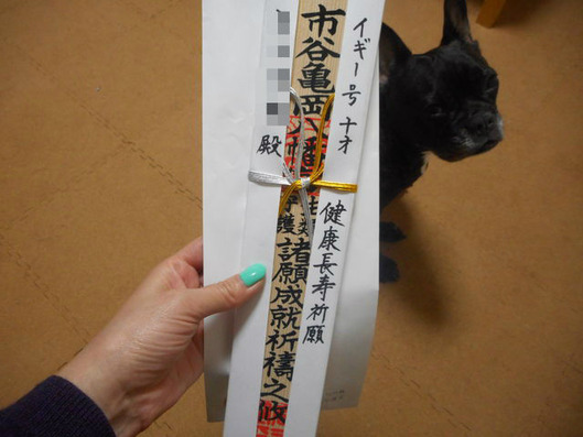 BlogPaint