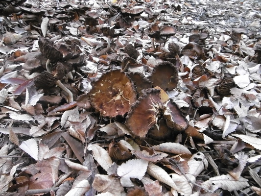 P1000318