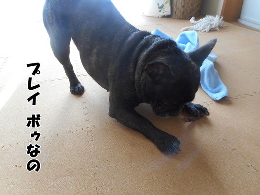 DSCN2238