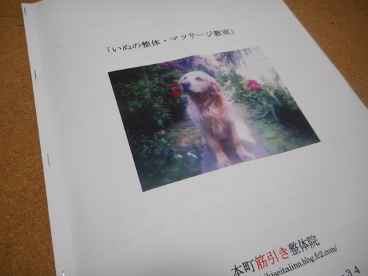 DSCN3089