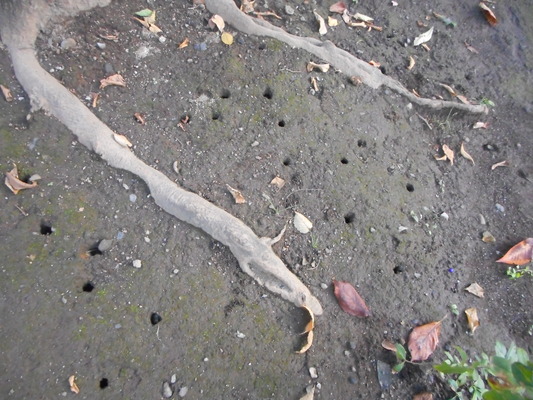 DSCN1954