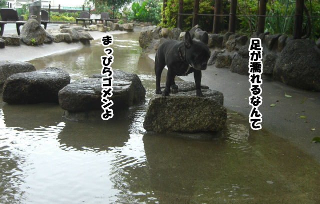 CIMG2834
