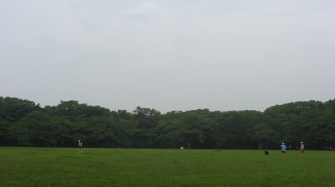 CIMG2744