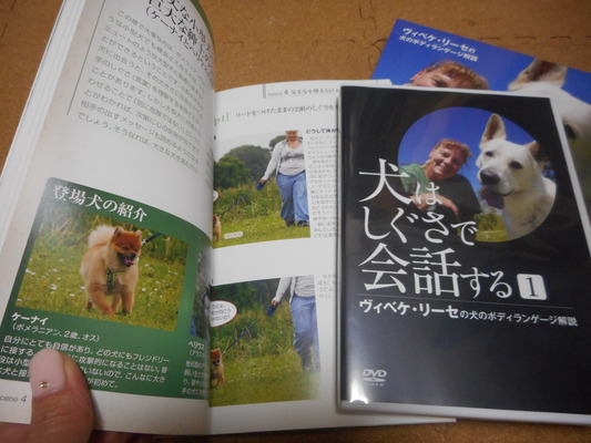 DSCN3612
