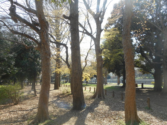 DSCN4325