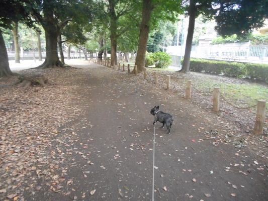 DSCN2004