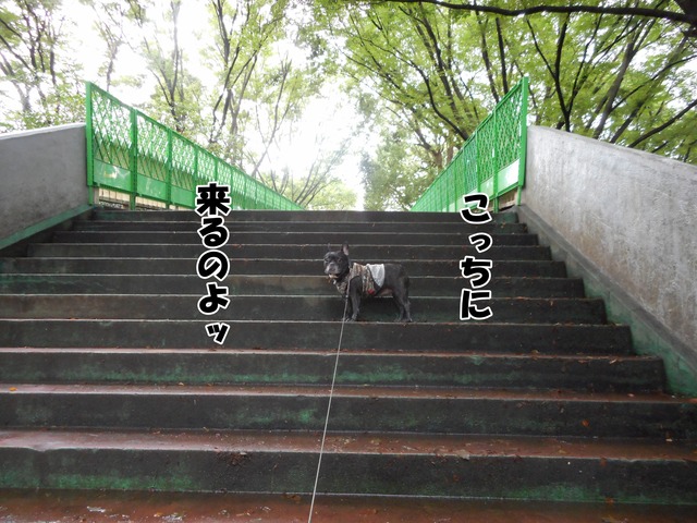 DSCN0455