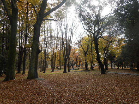 DSCN2662