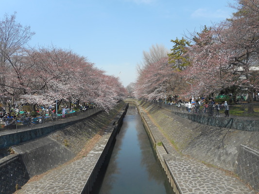 DSCN4308