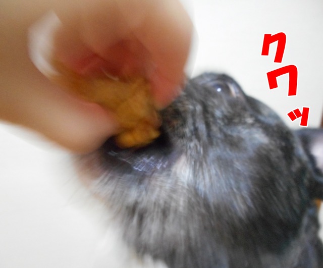 DSCN0359