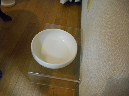 DSCN4696