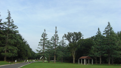 CIMG2880