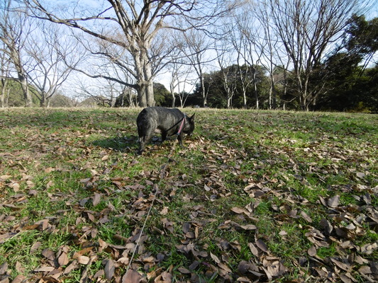 P1000393