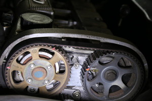 2F6A5023