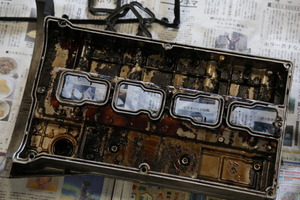 2F6A5031