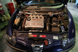 2F6A5095