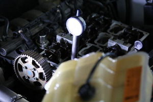 2F6A5029