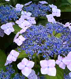 4f6dff64.jpg