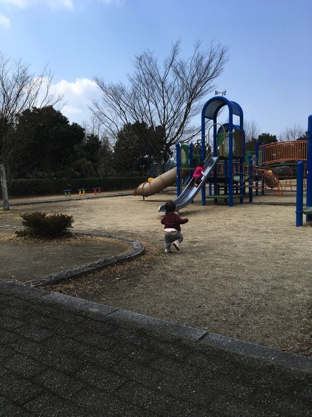 IMG_0153.jpg IMG 0153
